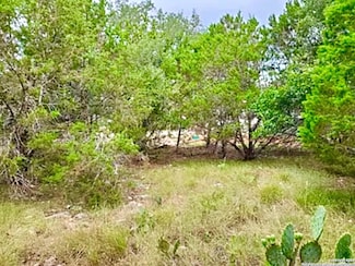 119 N John Bird, Blanco, TX 78606