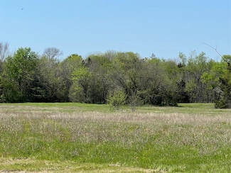 Lot #4 Cr 218 Rd, Anderson, TX 77830