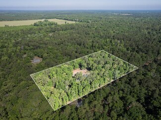 236 Forest Ln, Crawfordville, FL 32327
