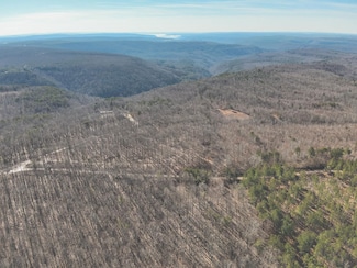0 Palmer Firetower Rd Unit 22540284, Palmer, TN 37365