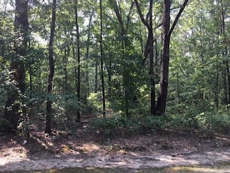 Lot 1 Witts Dr, Sherwood, AR 72120