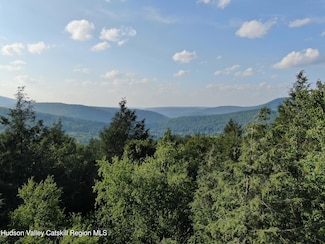 101 Terrace Dr, Lexington, NY 12468