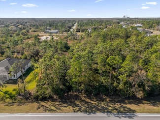 LOT 13 Dallas Blvd, Alafaya, FL 32833