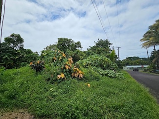 0 Palani St Unit 703817, Pahoa, HI 96778