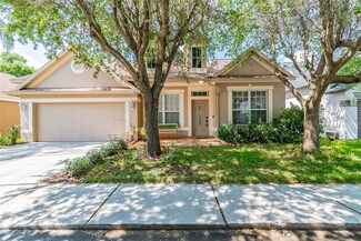 8814 Cypress Hammock Dr, Tampa, FL 33614