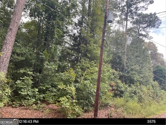 072 017 Georgia 112, Toomsboro, GA 31090