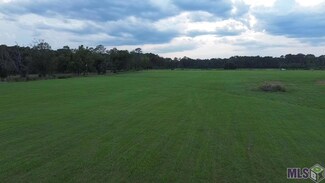 Tract 5-A&C Old U S 51, Montpelier, LA 70422