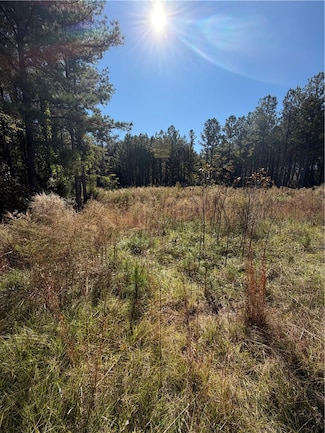 31 Waterside Point, Abbeville, SC 29620