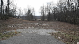 000 Fern Creek Ln, Benton, KY 42025
