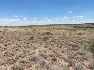 6 County Road 6031, St. Johns, AZ 85936
