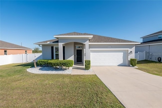 13233 Lake Yale View Loop, Grand Island, FL 32735