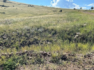 0 W Shideler St, Cripple Creek, CO 80813