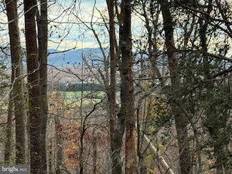 0 Mountain Run Rd Unit VAPA2004494, Luray, VA 22835
