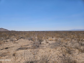 xxxx Tbd -- Unit 127, Douglas, AZ 85607