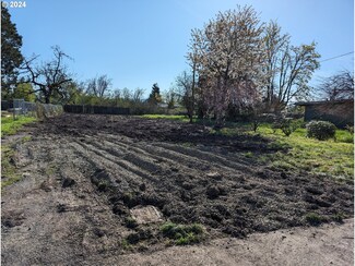 503 17th St, Springfield, OR 97477