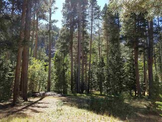 135 Dream Mountain Dr Unit 9, June Lake, CA 93529