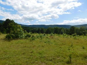 0 Cr 6065 Unit H142079, Jasper, AR 72641