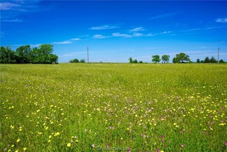 1 Farm To Market 149, Anderson, TX 77830