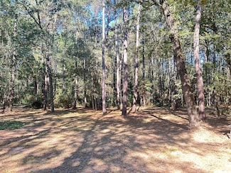 24445 Pipestem Dr, Magnolia, TX 77355