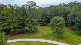 Lot 1 Brookview Ln Unit 1, Helena, AL 35080