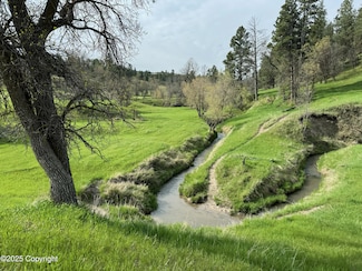 Tracts 6&7 Lone Elk Ranch, Alva, WY 82711