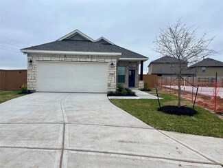 10954 Tawny Ridge Dr, Beasley, TX 77417