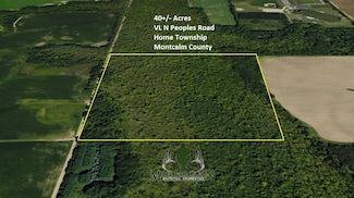 0 Vl Peoples Rd, Edmore, MI 48829