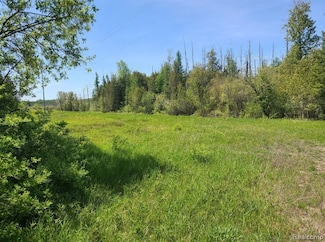 0000 Hebron Mail Route, Hebron Township, MI 49721