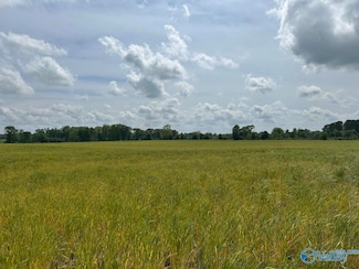 28 Acres Alabama 64, Lexington, AL 35648