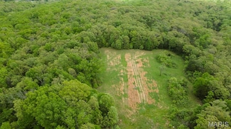 0 Blackberry Hills Rd, Jackson Township, MO 63627