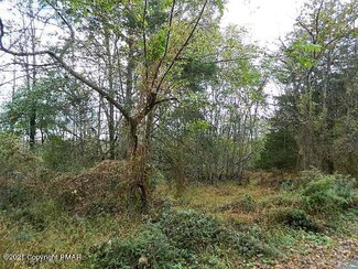 0 Pine Ridge Rd Lot 3, East Stroudsburg, PA 18301