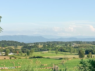 0 Lot 16 Summerset Dr Unit 1307846, Talbott, TN 37877