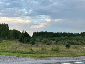 6094 Wahlsten Rd Unit Rural N of Hwy 169 -, Embarrass, MN 55732