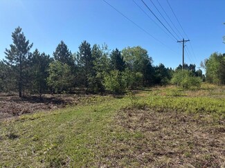 Parcel A N Spruce St, White Cloud, MI 49349