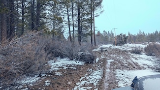 0 Deer Run Unit 220197562, Beatty, OR 97621