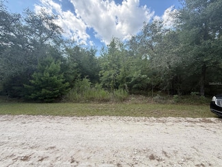 TBD SW 98th St, Dunnellon, FL 34432