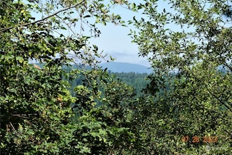 51957 114th Ave E, Eatonville, WA 98328