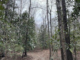 0 S Glenwood Rd, Brantley, AL 36009