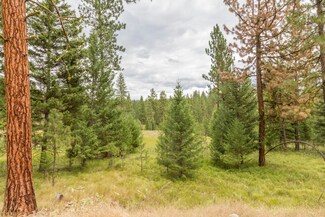 17591 Baxters Way, Huson, MT 59846