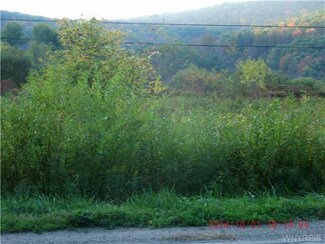 2295 N Nine Mile Rd, Allegany, NY 14706