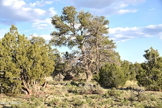 3391 E Indian Meadows Rd Unit 44, Williams, AZ 86046