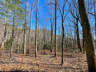 Lot 30 Cliffridge, Cashiers, NC 28717