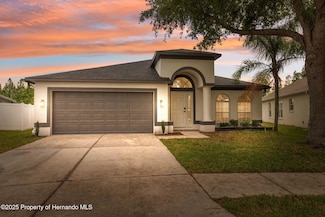 18456 Merseyside Loop, Land O Lakes, FL 34638