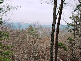 Lot 48 Wayah Ridge, Murphy, NC 28906