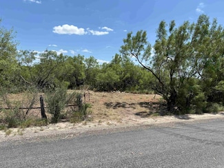 0 NW 1 2 of Trs 33 Thru 40 Sec 40 and 57 Thru 64 Unit 20252174, Fowlerton, TX 78021