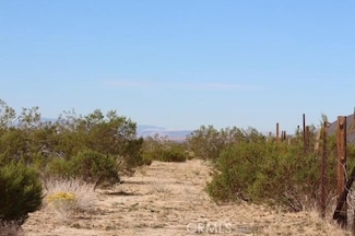 0 50th St W Unit SR24222484, Rosamond, CA 93560