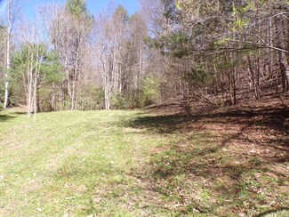 194 Jack McKinney Rd, Hampton, TN 37658