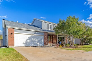 725 Bismark Ct, Elk Grove Village, IL 60007