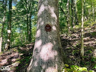 0 Mckee Rd Unit 24614784, Irvine, KY 40336