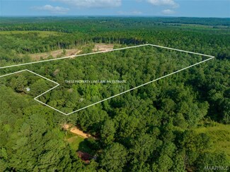 18.5+/- Acres Free Rd, Brantley, AL 36009